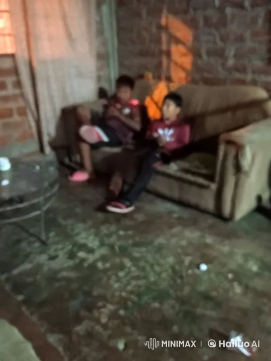 Affectionate Tussle in Rustic Setting – AI Generated Video | Hailuo AI