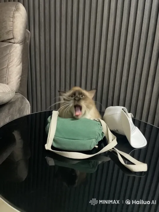 Fluffy Cat Yawns, then Playfully Stands Up – AI Generated Video | Hailuo AI