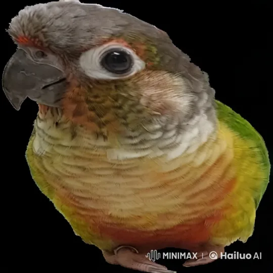 Colorful Parrot Enjoys Vibrant Nightclub-Inspired Setting – AI Generated Video | Hailuo AI