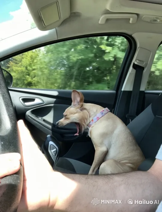 Dog Transforming into Anime Superhero in Car – AI Generated Video | Hailuo AI