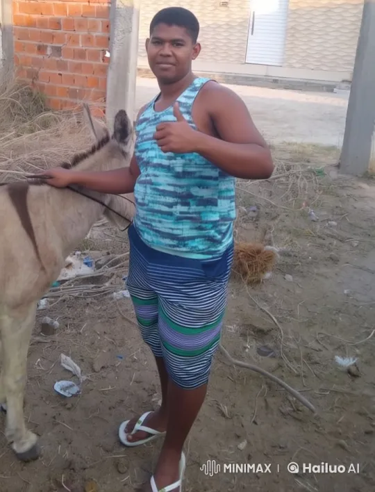 Live2D Video: Man with Donkey in Playful Scene – AI Generated Video | Hailuo AI