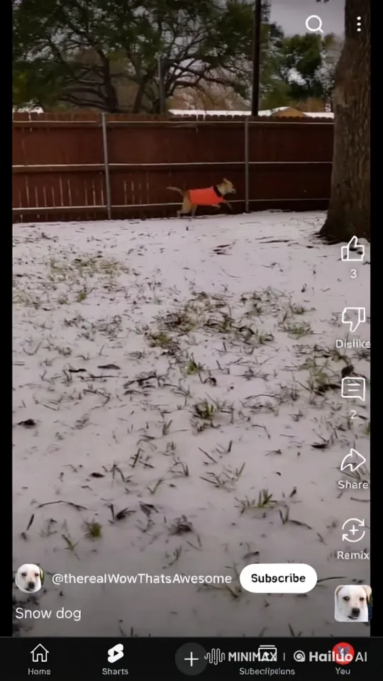 Flying Dog Dances and Eats Fries in Snowy Backyard – AI Generated Video | Hailuo AI