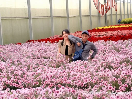 Indoor Flower Garden Kung Fu Match – AI Generated Video | Hailuo AI