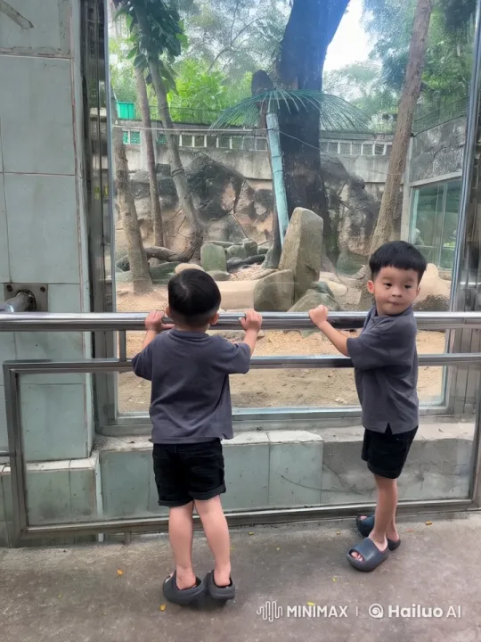 Boys Mimic Kung-Fu in Playful Zoo Encounter – AI Generated Video | Hailuo AI