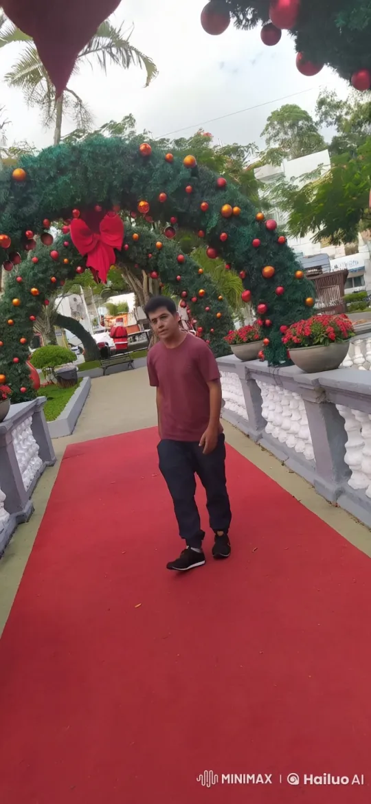 Christmas Park Aerial View with Festive Decorations – AI Generated Video | Hailuo AI