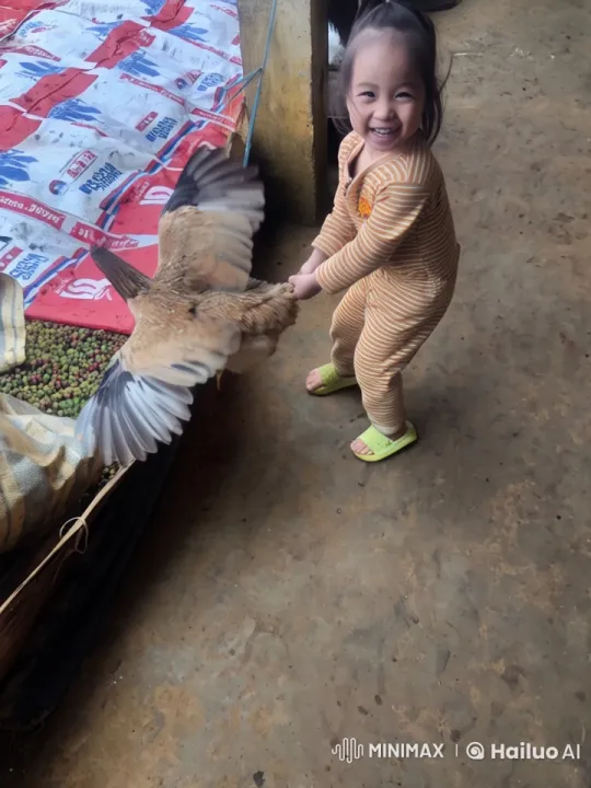 Child in Pajamas Joyfully Interacts with Chicken – AI Generated Video | Hailuo AI
