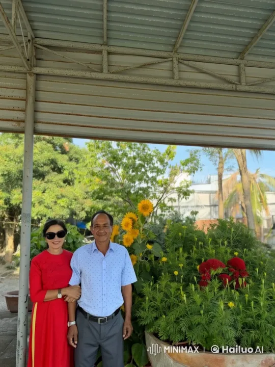 Couple in Sunflower Field with Live2D Animation – AI Generated Video | Hailuo AI