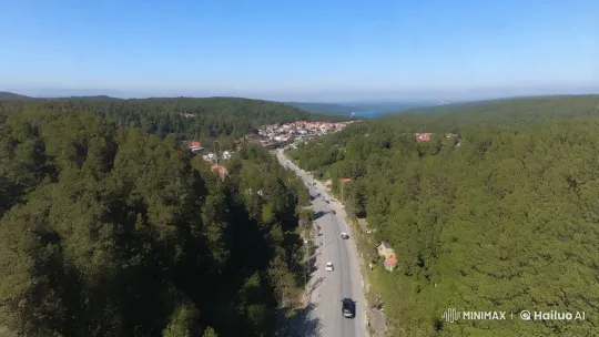 Please provide the content you would like summarized into a concise English title. – AI Generated Video | Hailuo AI