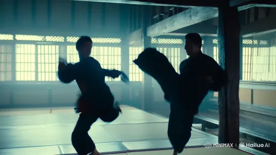 Dynamic Martial Arts Scene in Aesthetic Dojo Setting – AI Generated Video | Hailuo AI
