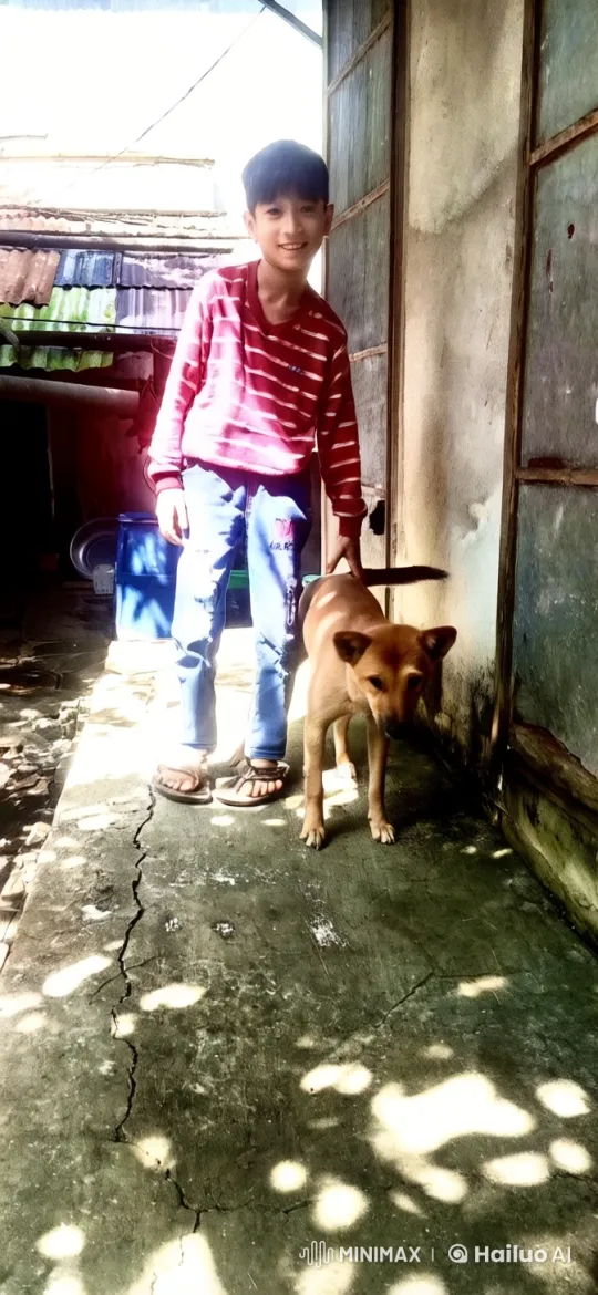 Boy Practicing Kung Fu with Dog in Backyard – AI Generated Video | Hailuo AI