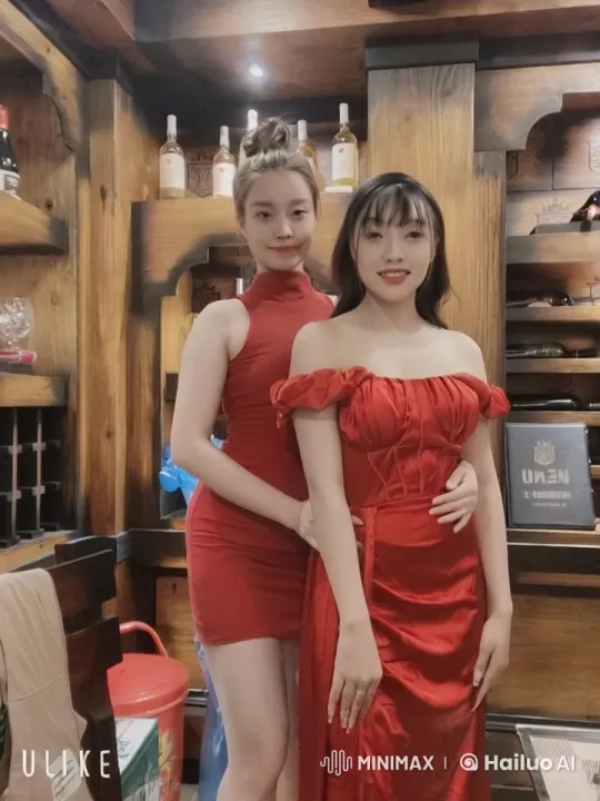 Two Women in Red Dresses Perform Martial Arts in Wooden-Themed Room – AI Generated Video | Hailuo AI