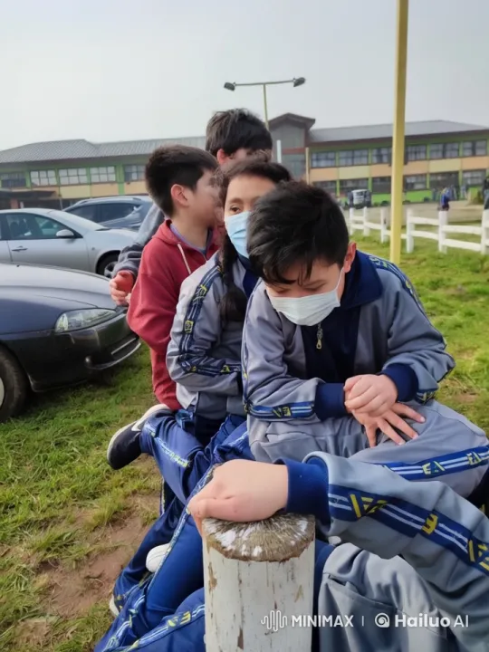 Students Engage in Playful Mock Fight Outdoors – AI Generated Video | Hailuo AI