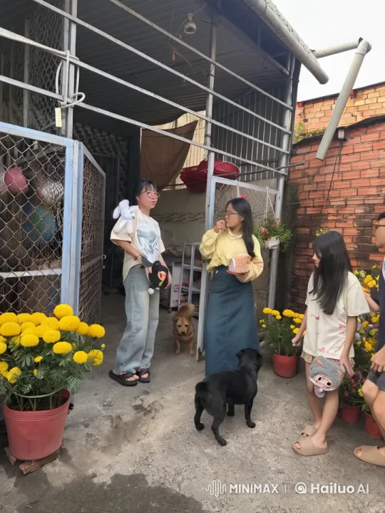 Women and Girls Perform Playful Martial Arts with Dogs – AI Generated Video | Hailuo AI