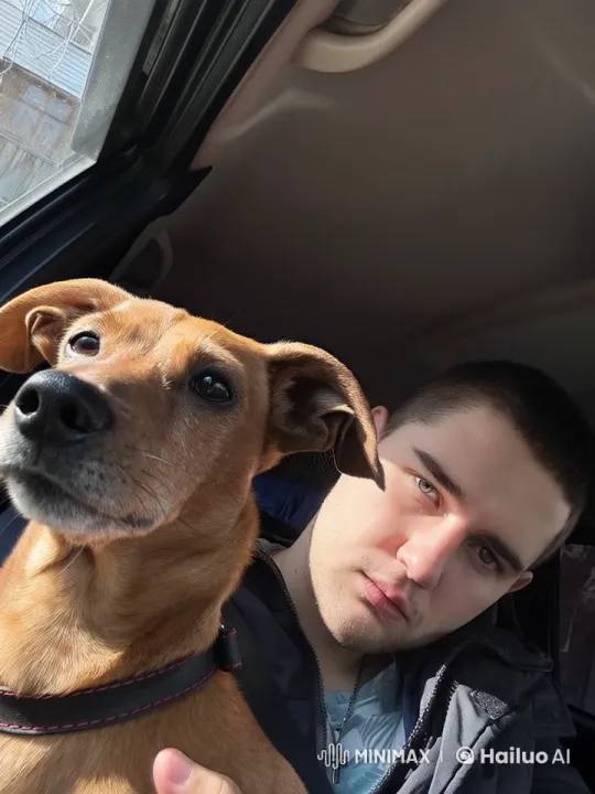 Animated Dog Takes Over Car Steering in Live2D Video – AI Generated Video | Hailuo AI