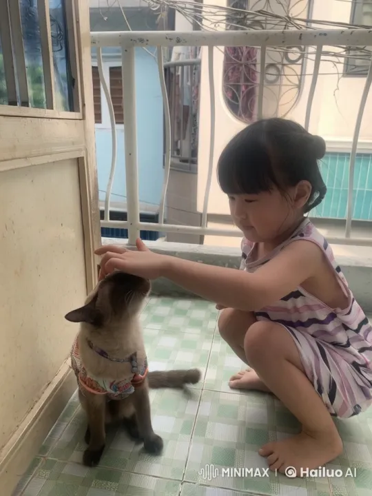 Girl and Cat Play Kung Fu on Balcony – AI Generated Video | Hailuo AI