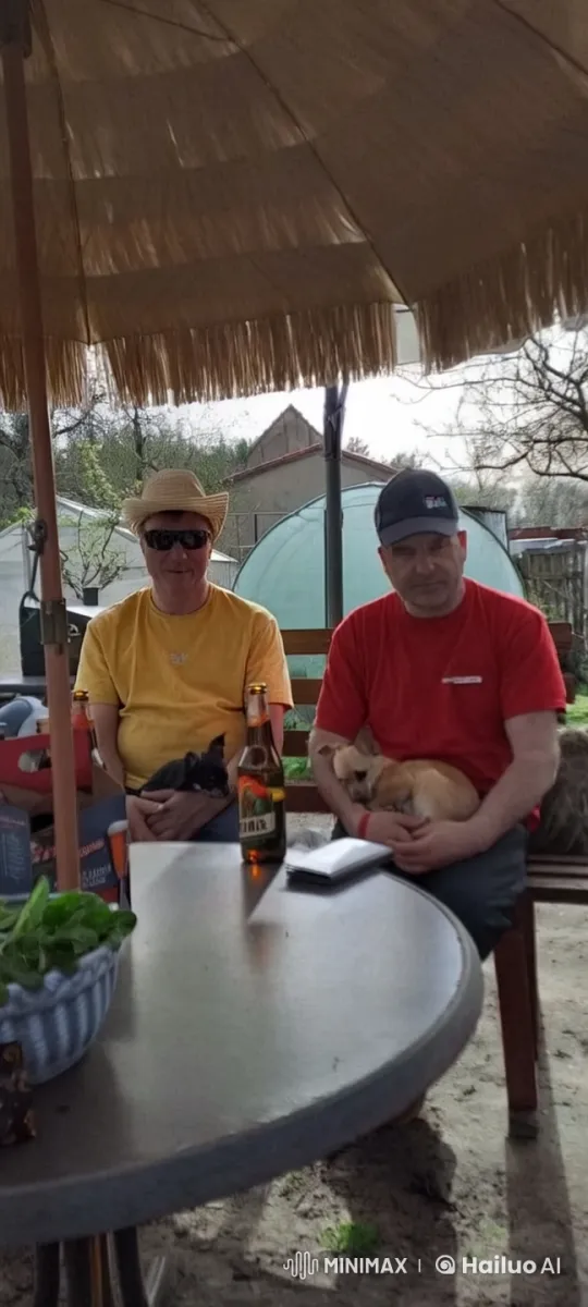 Musical Men and Dancing Dogs Under an Umbrella – AI Generated Video | Hailuo AI