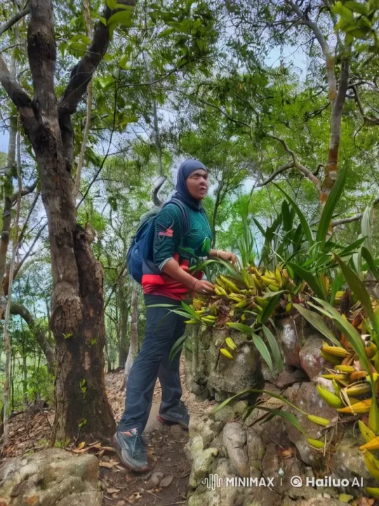 Hiker Showcases Martial Arts Skills in Forest Setting – AI Generated Video | Hailuo AI