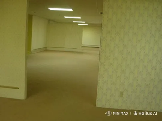 Abandoned Basement Atmosphere Evoking Urban Legend 'Backrooms' – AI Generated Video | Hailuo AI
