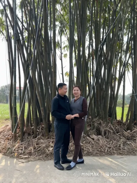 Couple in Tranquil Bamboo Grove Sharing a Tender Moment – AI Generated Video | Hailuo AI