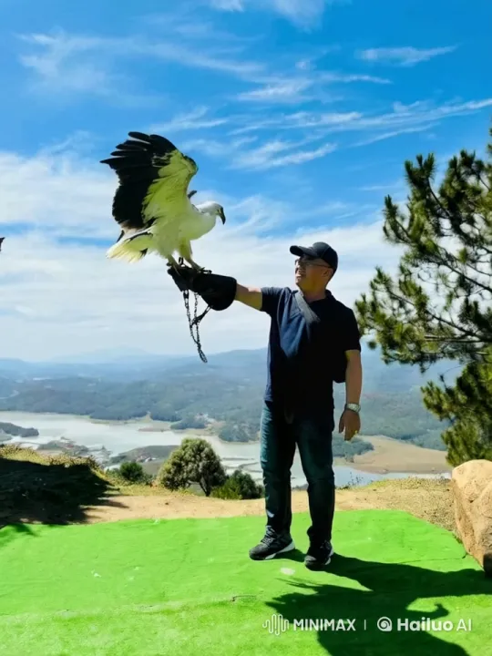 Bird of Prey and Vigorous Actions Over Scenic Landscape – AI Generated Video | Hailuo AI
