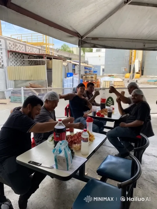Outdoor Gathering: Friendship and Celebration – AI Generated Video | Hailuo AI