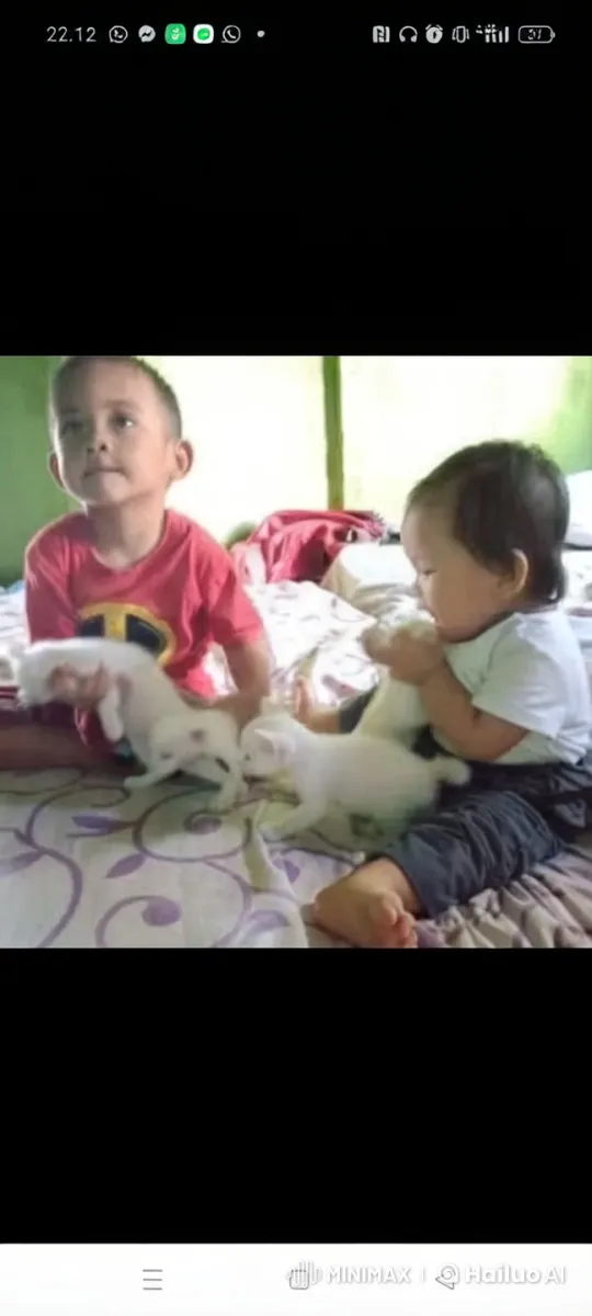 Children Tug Over Kittens on Bed with Green Walls – AI Generated Video | Hailuo AI