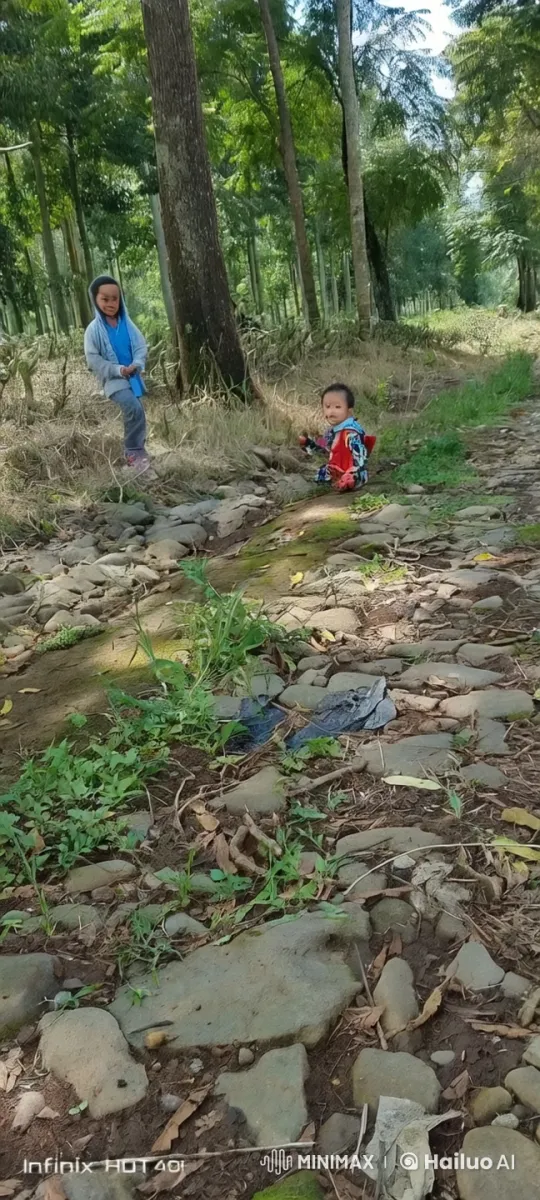 Children Practicing Kung Fu in a Forest Setting – AI Generated Video | Hailuo AI