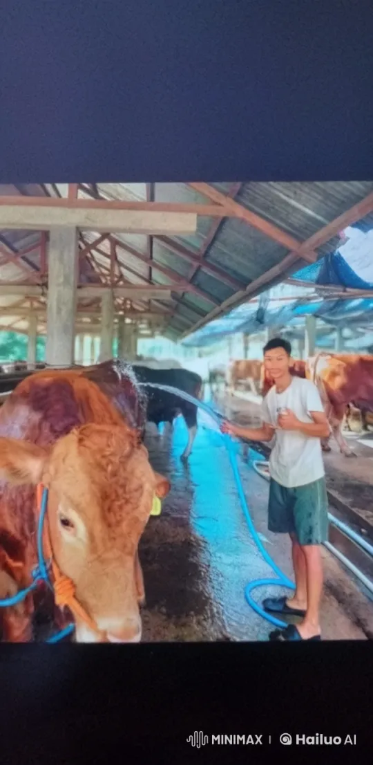 Martial Artist Performs Kung Fu in Rustic Barn Setting – AI Generated Video | Hailuo AI