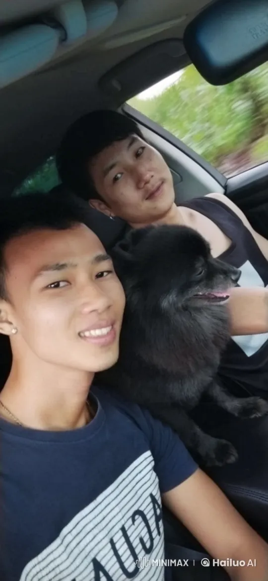 Affectionate Moment Between Person and Pomeranian in Moving Car – AI Generated Video | Hailuo AI