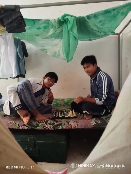 Two young men argue and fight over a game of chess in a canopy bed room – AI Generated Video | Hailuo AI