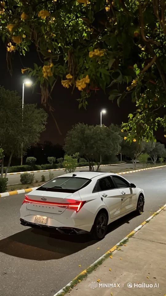 Live2D Animated Night on a Suburban Street – AI Generated Video | Hailuo AI