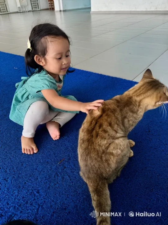 Child and Cat Engage in Imaginative Kung Fu Battle – AI Generated Video | Hailuo AI