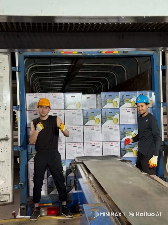 Workers Organizing Durian Boxes in Shipping Container – AI Generated Video | Hailuo AI