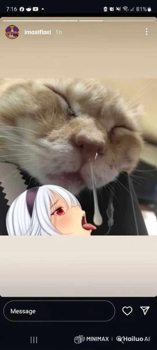 Sleeping Cat and Fascinated Anime Girl Interaction – AI Generated Video | Hailuo AI