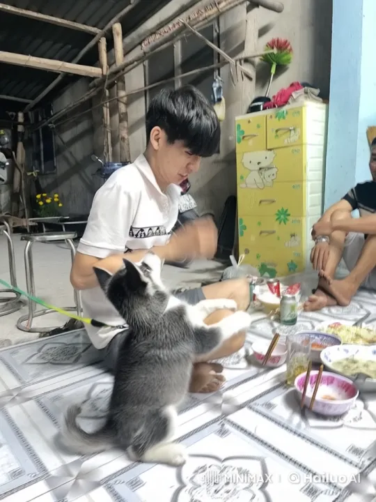 Young Man and Puppy Playfully Spar with Kungfu Moves – AI Generated Video | Hailuo AI