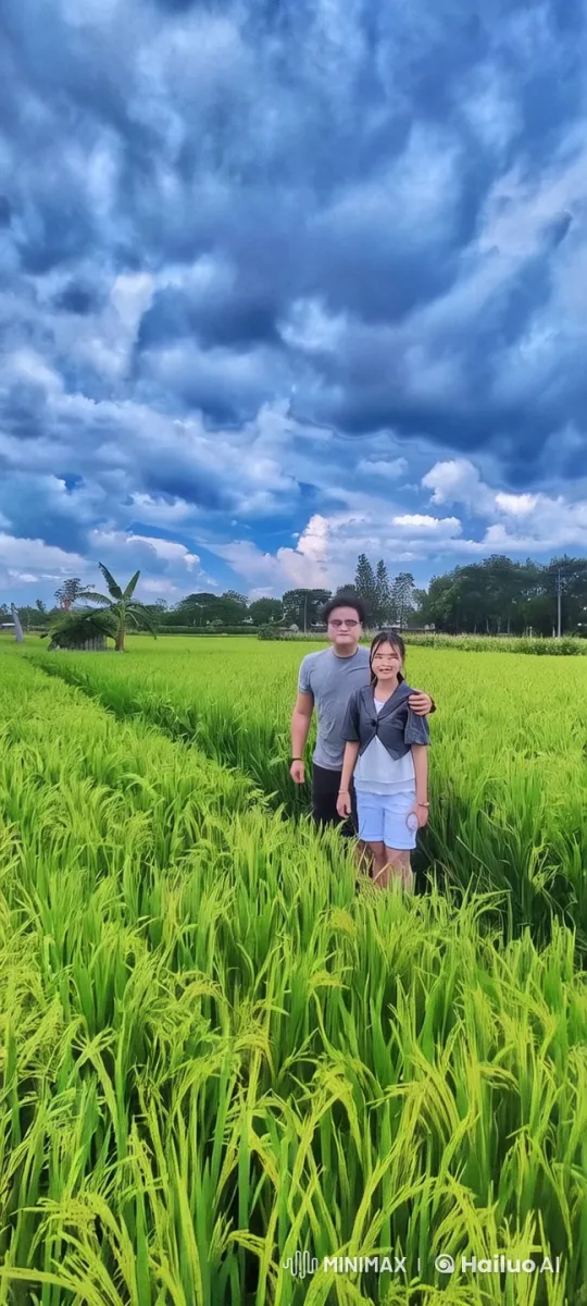 Dreamy Transformation: Characters in Cloudy Rice Field – AI Generated Video | Hailuo AI