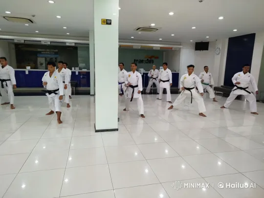 Karate Practitioners Showcase Skills in Modern Dojo – AI Generated Video | Hailuo AI