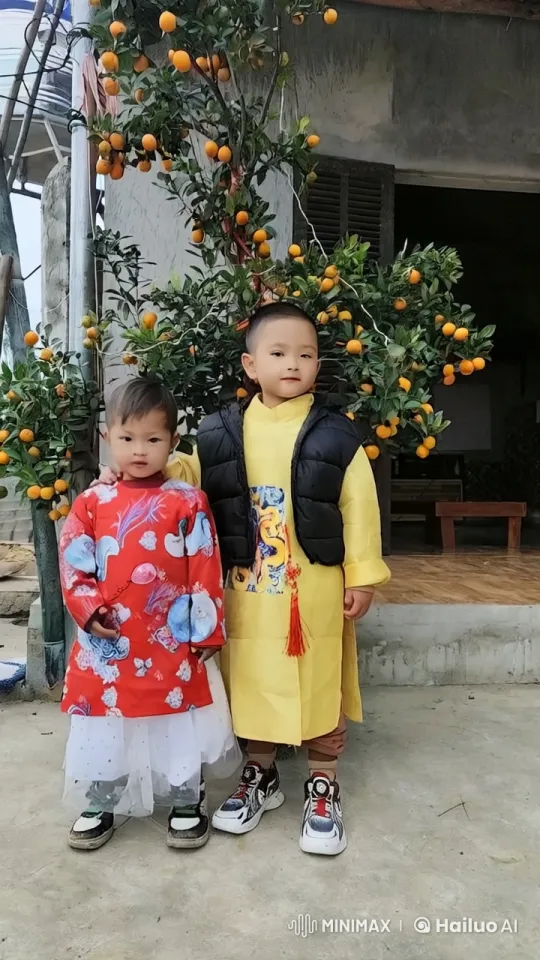 Children Practice Kungfu in Vibrant Orange Grove – AI Generated Video | Hailuo AI