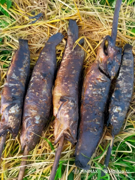 Live2D Animation: Grilled Fish on Grass in Nature – AI Generated Video | Hailuo AI