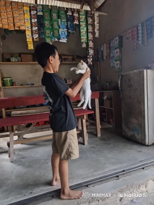 Boy and Kitten Perform Kung Fu in Shop – AI Generated Video | Hailuo AI