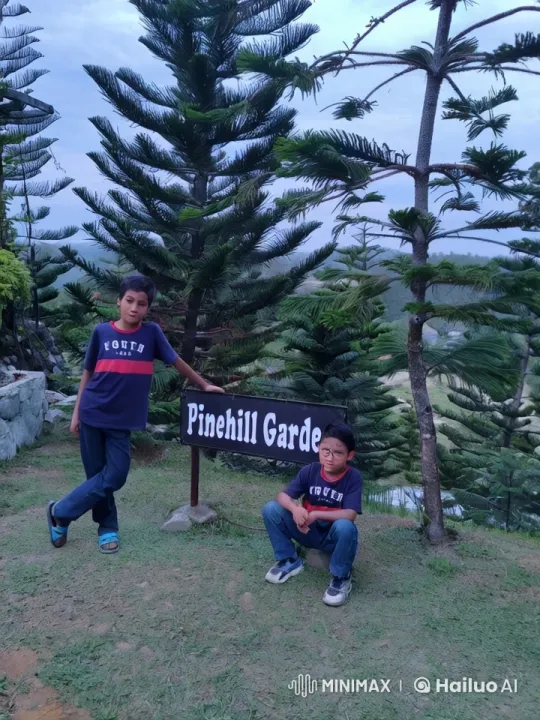 Boys Practice Kungfu in Pinehill Garden Scenery – AI Generated Video | Hailuo AI