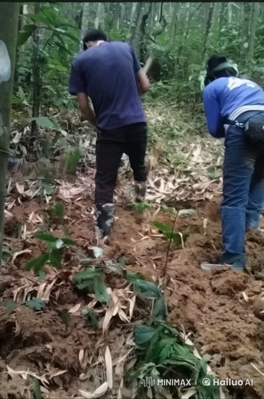 Forest Fight: Purple vs. Blue Shirt Kung Fu Duel – AI Generated Video | Hailuo AI