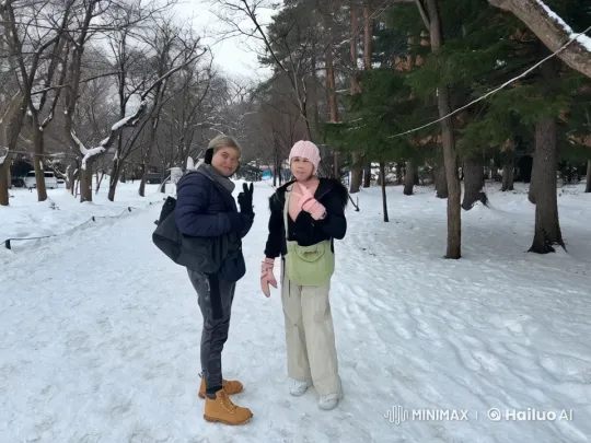 Kung Fu Practitioners Display Mastery in Snowy Park – AI Generated Video | Hailuo AI