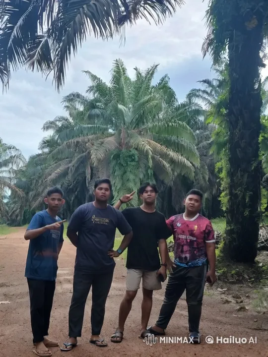 Kungfu Fighters Showcasing Styles in Palm Tree Setting – AI Generated Video | Hailuo AI