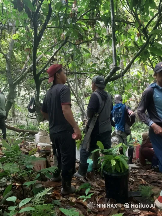Kung Fu Practitioners Spar Vigorously in Forest Setting – AI Generated Video | Hailuo AI
