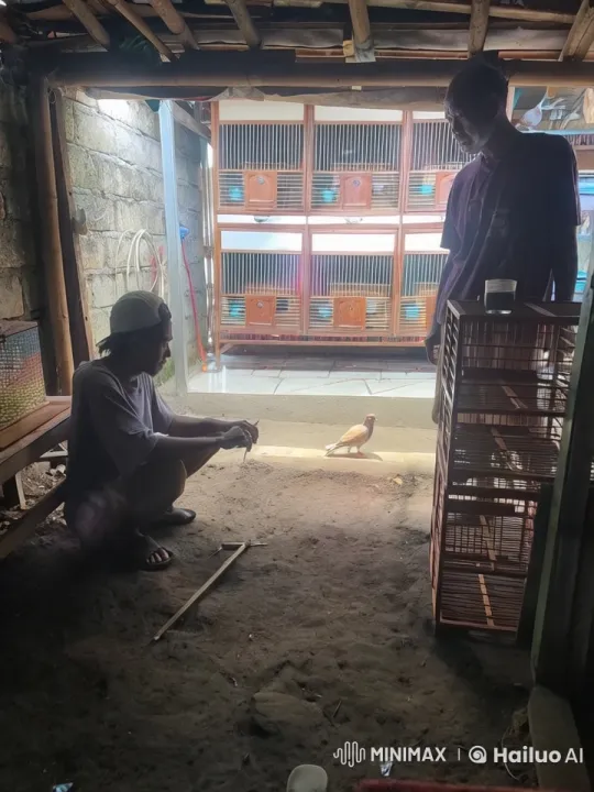 Traditional Kungfu Practice in Rustic Setting – AI Generated Video | Hailuo AI