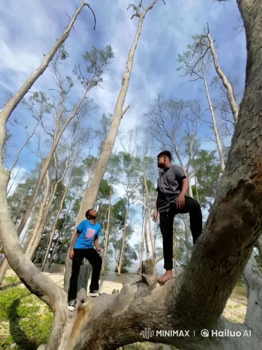 Boys Practicing Kung Fu on Tree Branches – AI Generated Video | Hailuo AI