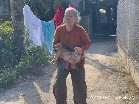 Elderly Woman Defends Self With Puppies – AI Generated Video | Hailuo AI