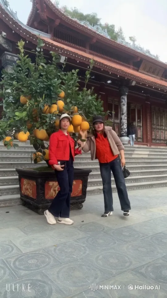 Asian Temple Setting: Dynamic Martial Arts Exchange – AI Generated Video | Hailuo AI