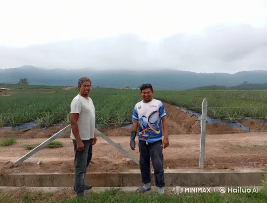 Martial Arts Duel in Tranquil Agricultural Landscape – AI Generated Video | Hailuo AI